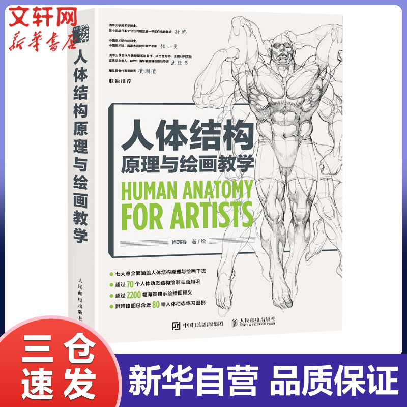 人体结构原理与绘画教学 肖玮春 绘 书籍
