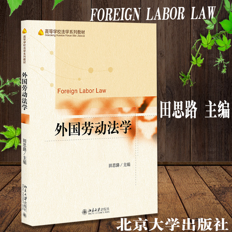 2019新书 现货 外国劳动法学 田思路