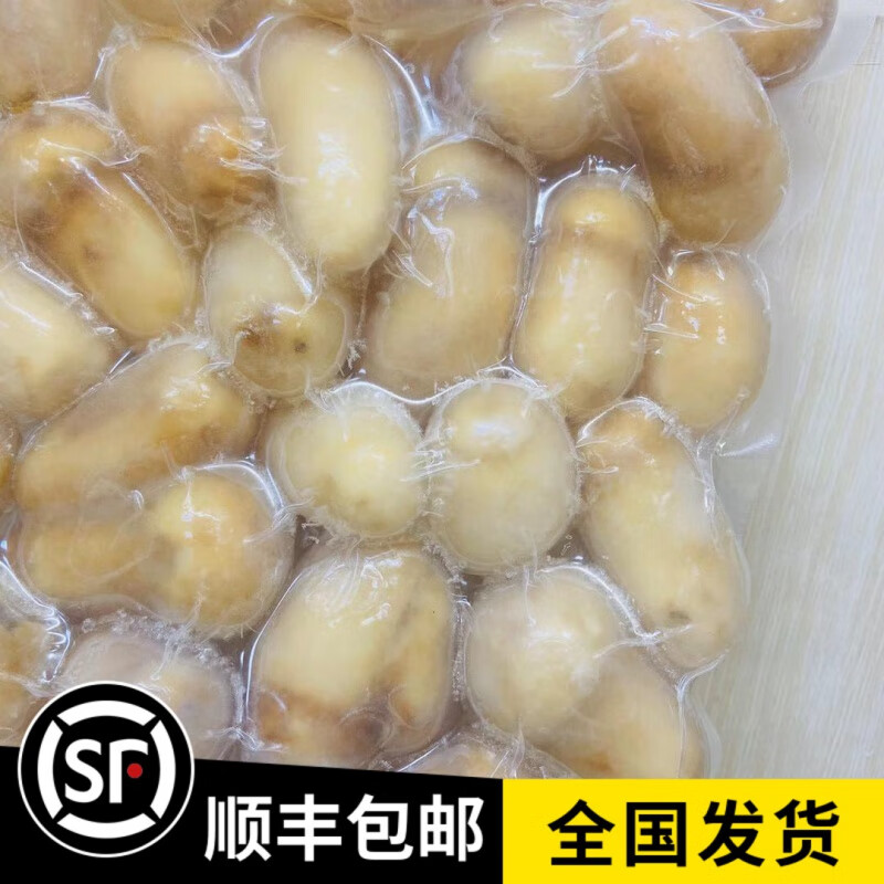 禾澹新货云南特产冰鲜速冻松茸 冰冻新鲜未开伞菇-含冰