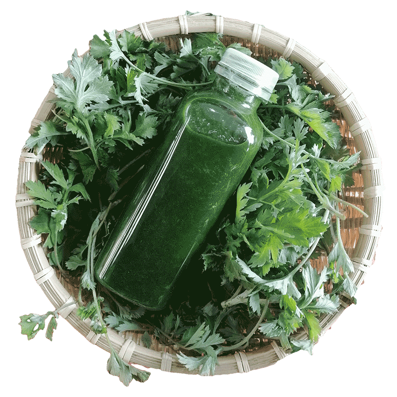 禾善恒州现榨汁艾草汁青团专用 新鲜汁青团汁野生艾叶汁食用500ml