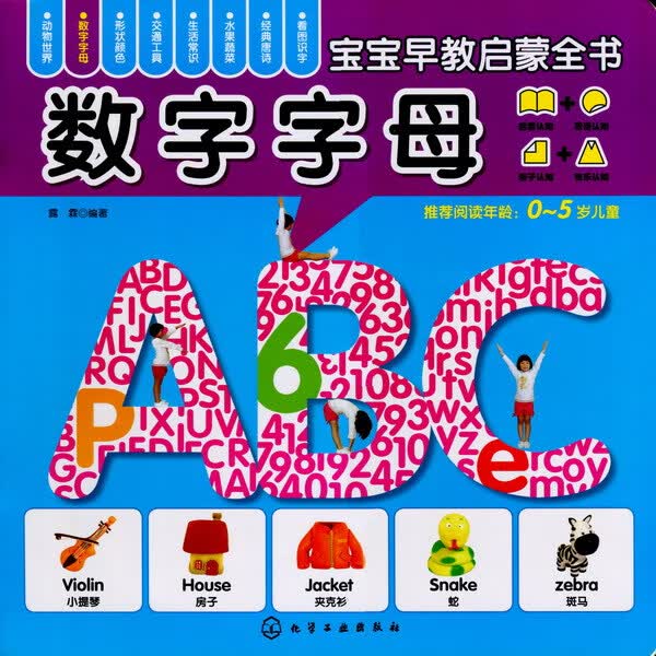 宝宝早教启蒙全书--数字字母 露霖 编著