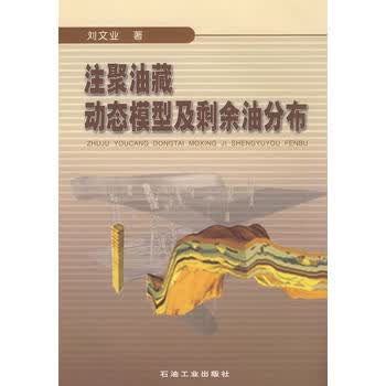 注聚油藏动态模型及剩余油分布