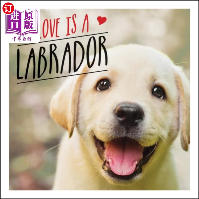 海外直订love is a labrador 爱是一只拉布拉多犬