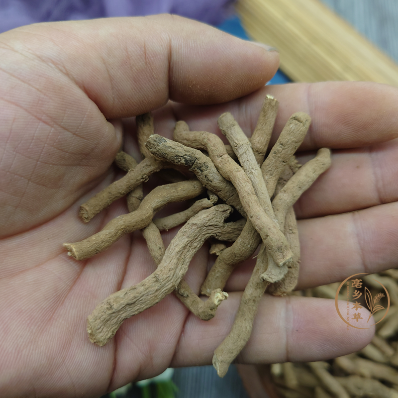 北京同仁堂野生青木香正宗云南青木香马兜铃根土青木香独行根青藤香