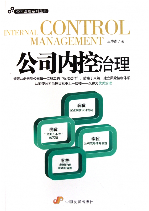 公司内控治理/公司治理系列丛书