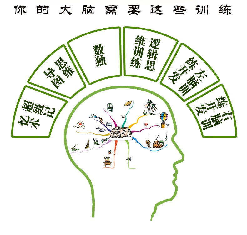 左右脑训练开发书/逻辑思维训练/数独/思维导图 青少年大脑开发训练书