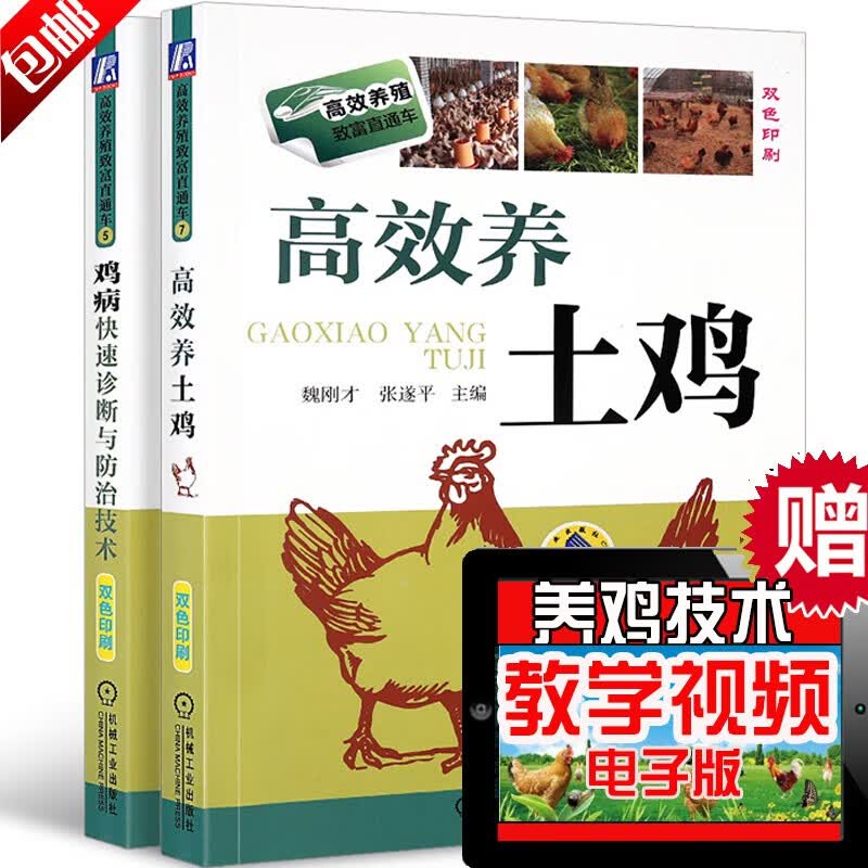 高效养土鸡+鸡病快速诊断与防治技术 养鸡技术书籍大全家禽怎么看?