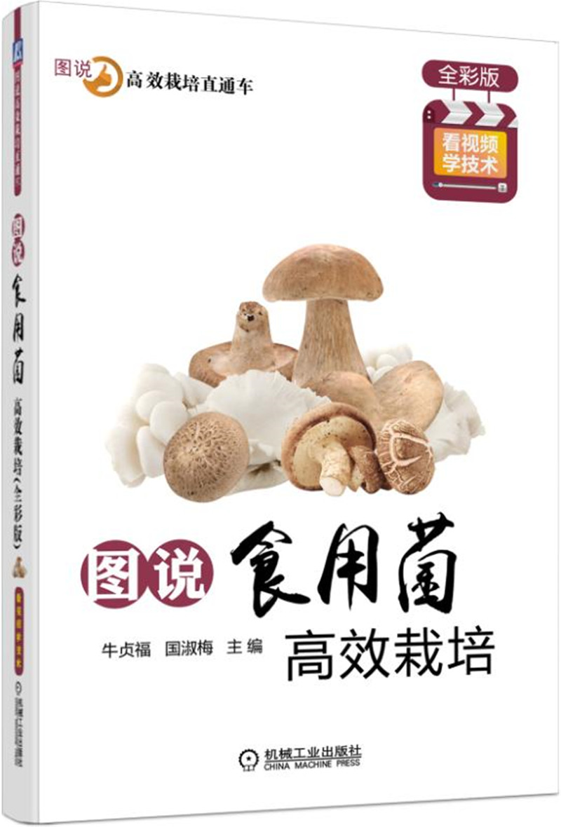图说食用菌高效栽培（全彩版）