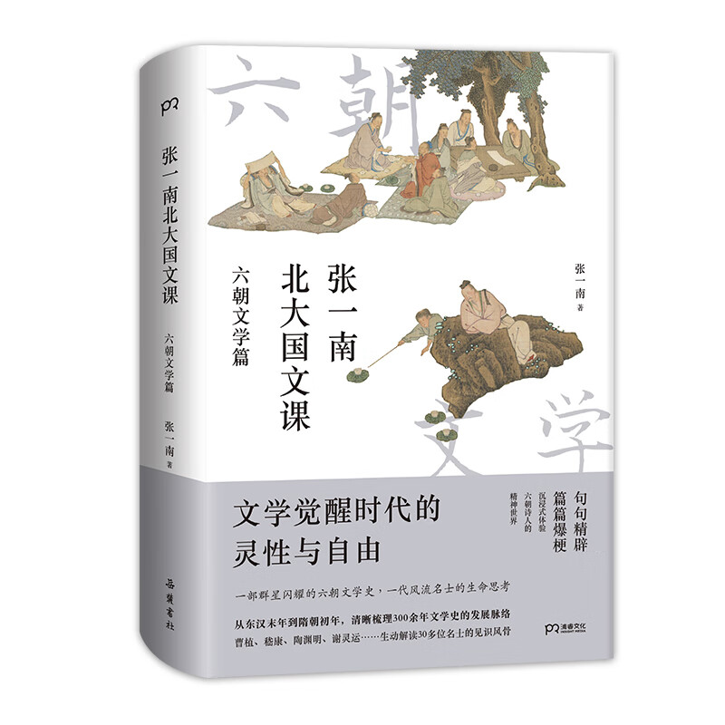 张一南北大国文课：六朝文学篇  （一部群星闪耀的文学史，一代风流名士的生命思考）【浦睿文化出品】