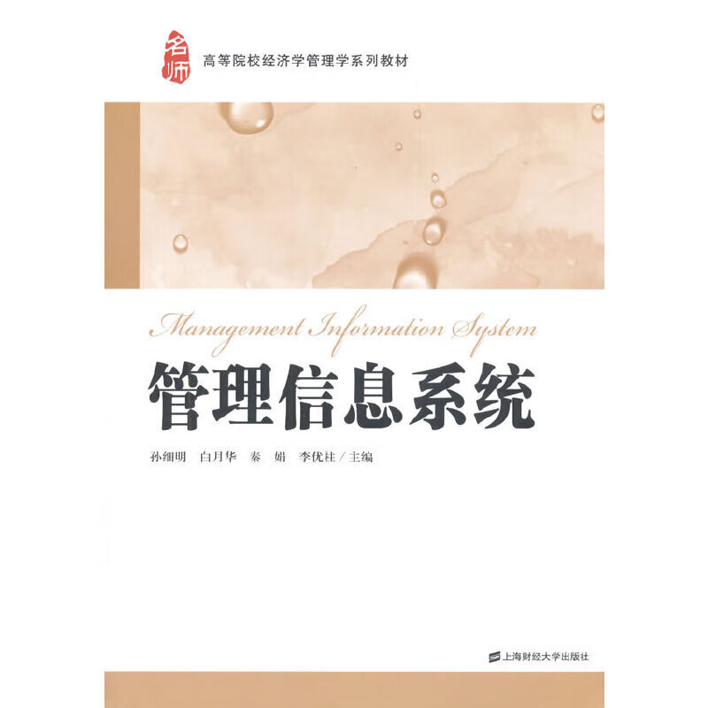 管理信息系统