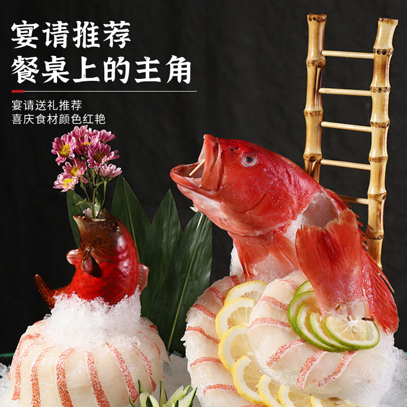 裕琳珑东星斑 特大石斑鱼 新鲜冷冻深海鱼 红斑鱼 非燕尾斑海鲜水产鱼类 深海东星斑1条(1.8-2.1斤/条)