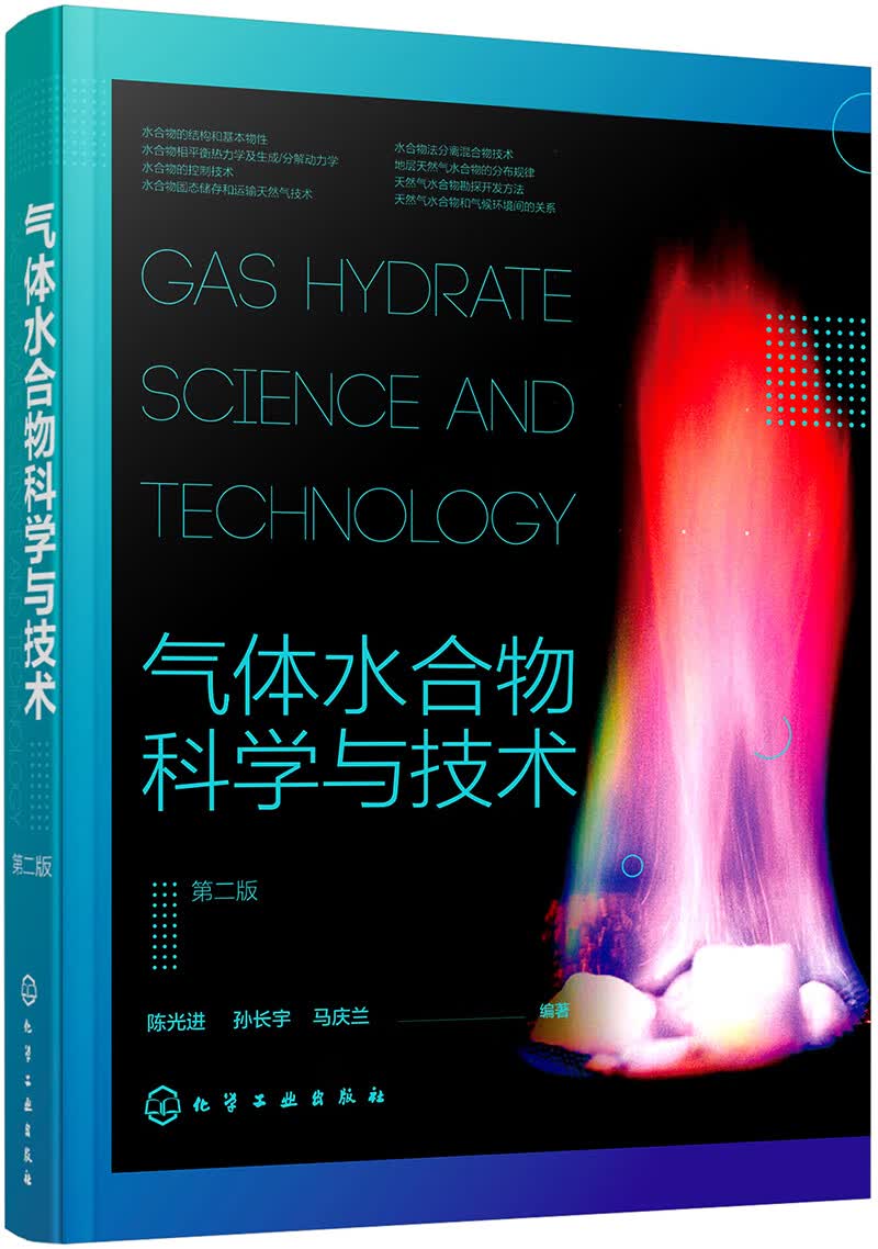 气体水合物科学与技术（第二版）怎么样,好用不?