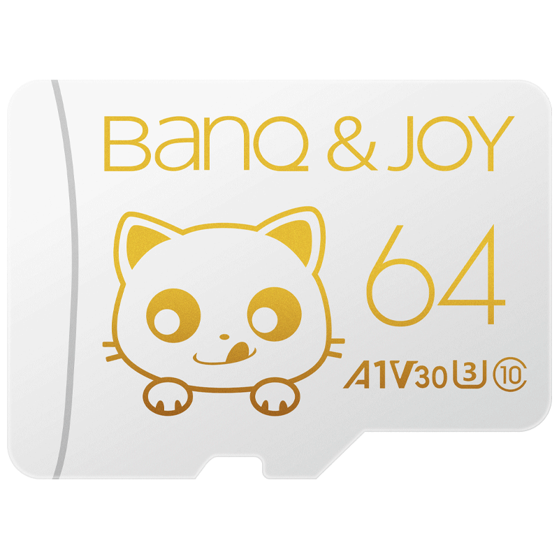 BanQ JOY Card 金卡 micro-SD存储卡（V30、U3、A1）