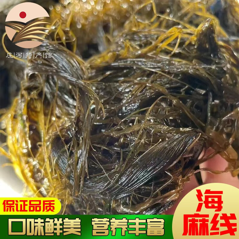 亿海湾大连海麻线新鲜冷冻海麻线包子陷下锅烂海菜 紫菜海线 海麻线2