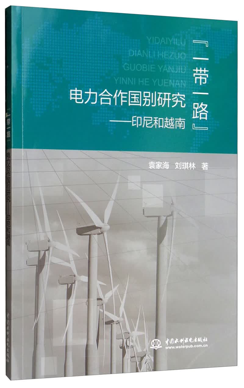 “一带一路”电力合作国别研究：印尼和越南