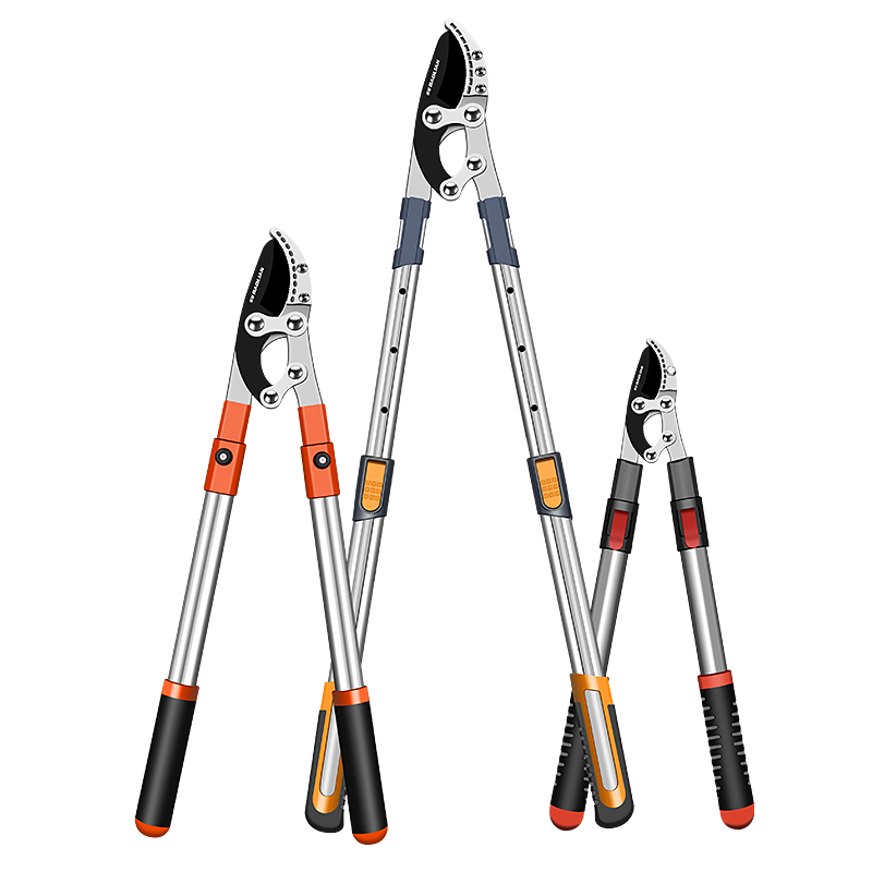 ����ǿ����֦��԰��ʡ����������֦���޼���֦��֦��������������֦�� ������ �ɼ�35MM  27.8Ԫ