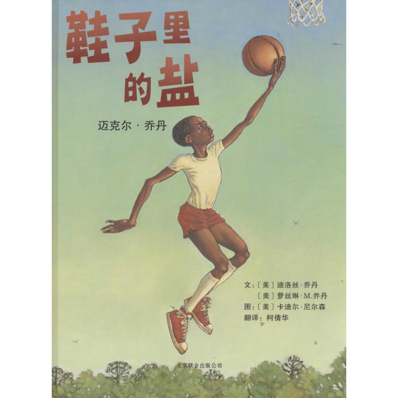 正版图书包邮 启发精选世界    绘本:鞋子里的盐·迈克尔·乔丹 (精装