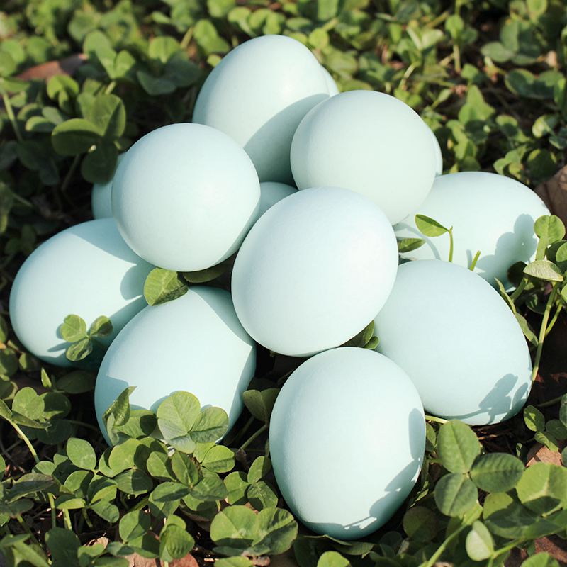 山土御品林地柴鸡蛋 特产绿壳乌鸡蛋农家土鸡蛋30枚装送礼 山土绿壳 30枚 1.5kg