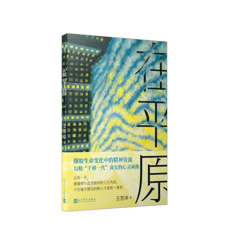 在平原 王苏辛 著