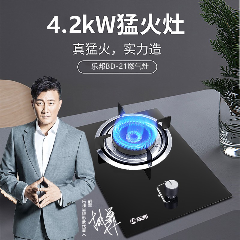 乐邦lb 燃气灶单灶 家用九腔大火力节能灶 天然气液化气台式嵌入式旋