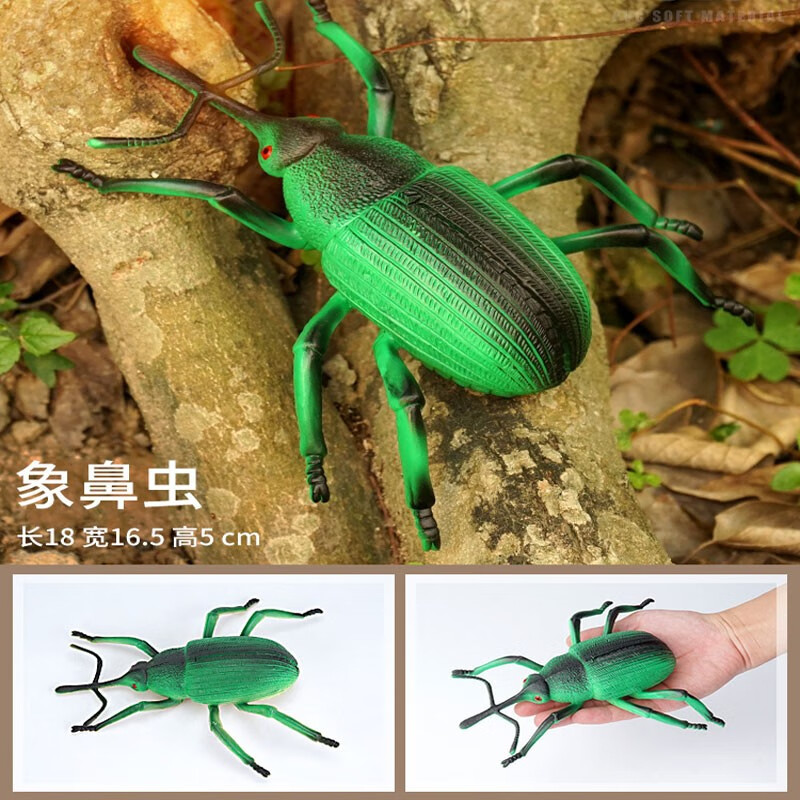 大昆虫玩具仿真野生爬行软胶动物模型早教男女孩搞怪生日礼物 象鼻虫