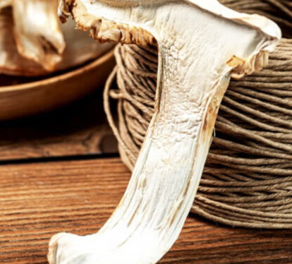 禾澹干货野生雪山菌菇新鲜 菇云南特产500g