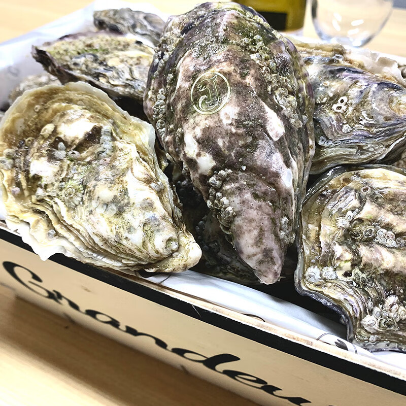 蠔门 吉拉多生蚝鲜活法国进口生蚝海蛎子生鲜贝类海鲜12只 n0