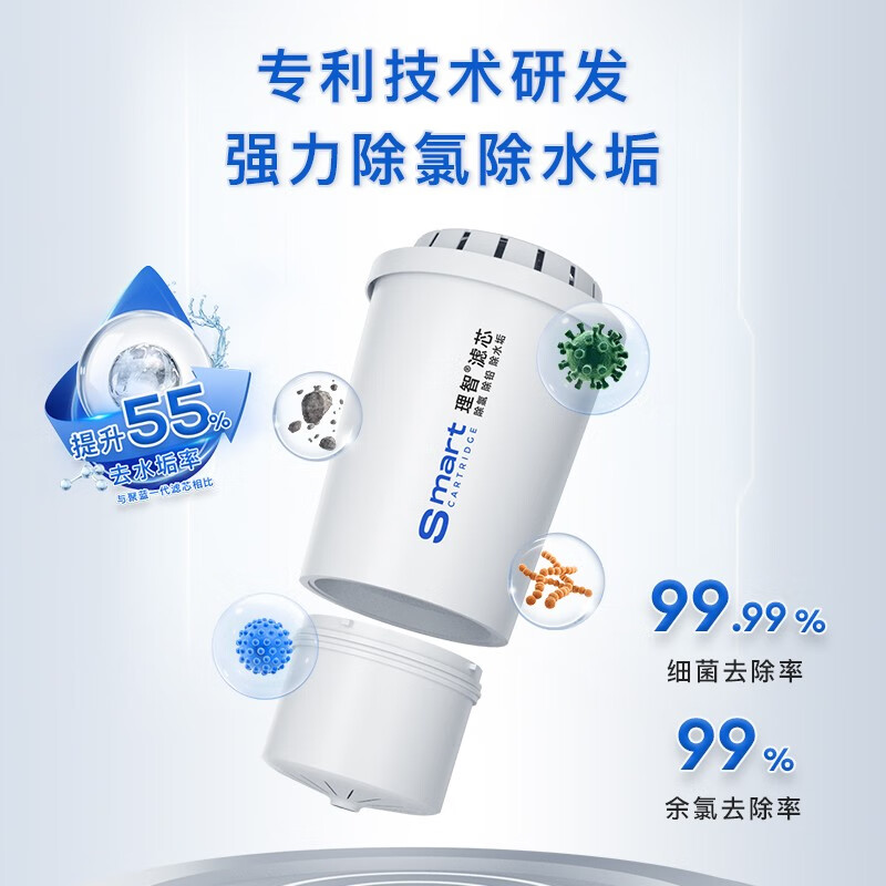 聚蓝(bluetech) 净水壶家用过滤水壶双芯长效去水垢除氯除菌直饮标准滤水器4.2L大容量 畅想全年装【1壶11芯】温雅白 默认182