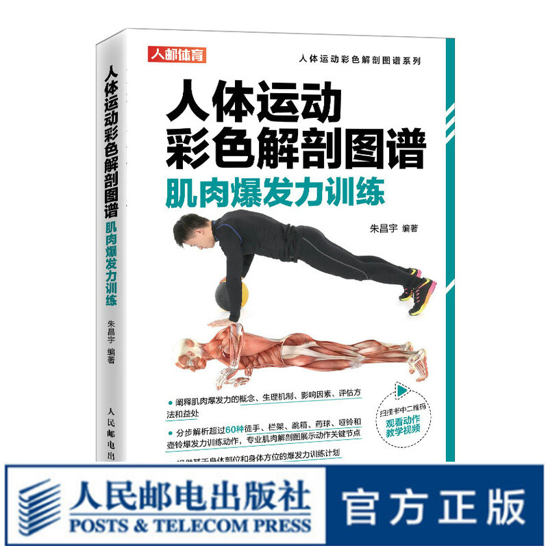 人体运动彩色解剖学图谱肌肉爆发力训练体能速度训练完全图解书籍