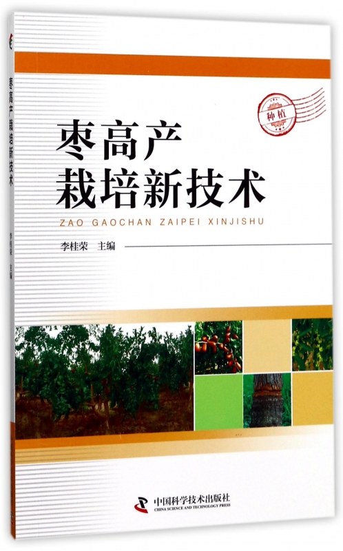 枣高产栽培新技术