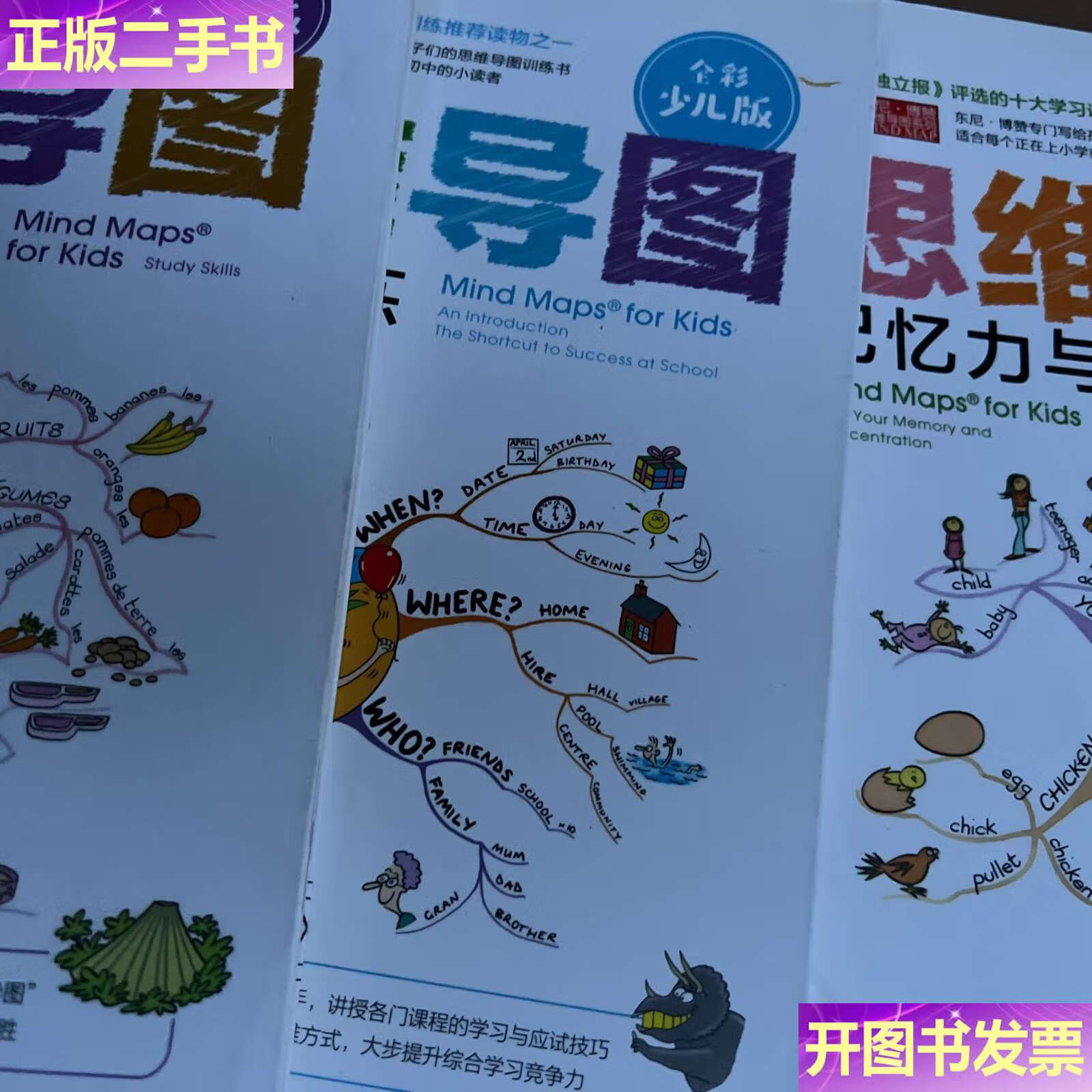 【二手9成新】思维导图:学习技巧训练 学习力训练 记忆力与注意力训练