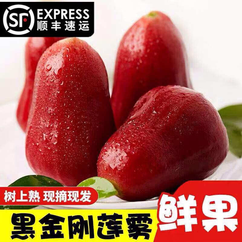 妙络 现摘黑金刚莲雾顺丰当季孕妇新鲜热带水果海南特产整箱送礼 4斤