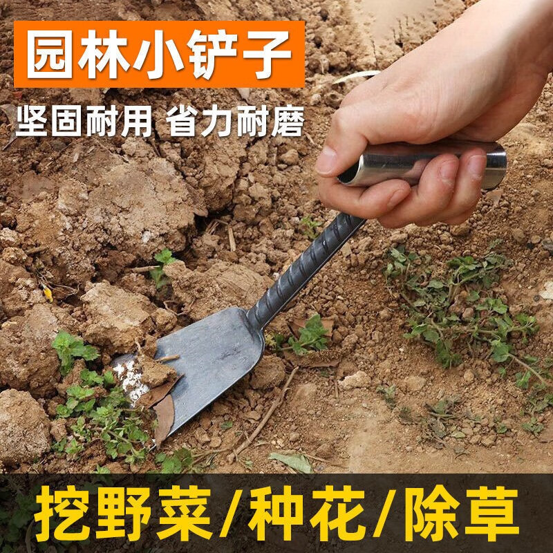 成洲挖野菜小铲子挖草药种菜除草挖土菜园花园艺园林用具农用工具家用