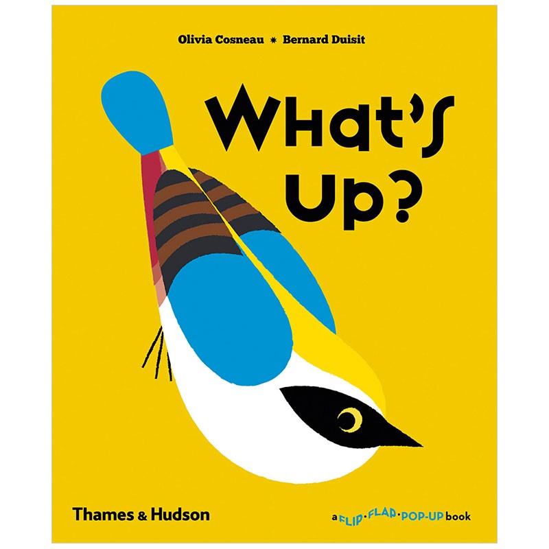 【现货】whats up? 发生什么事啦?