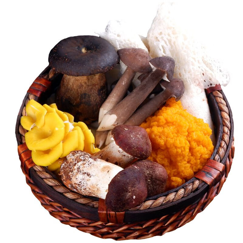 禾澹新鲜云南特产食用菌菇火锅组合斤竹荪鸡枞牛肝菌姬松茸 新鲜菌菇