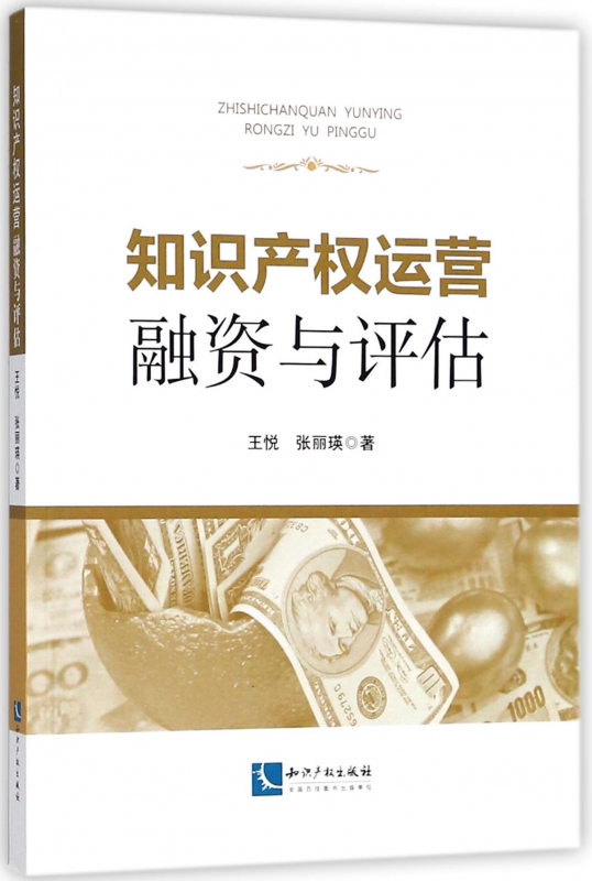 知识产权运营融资与评估
