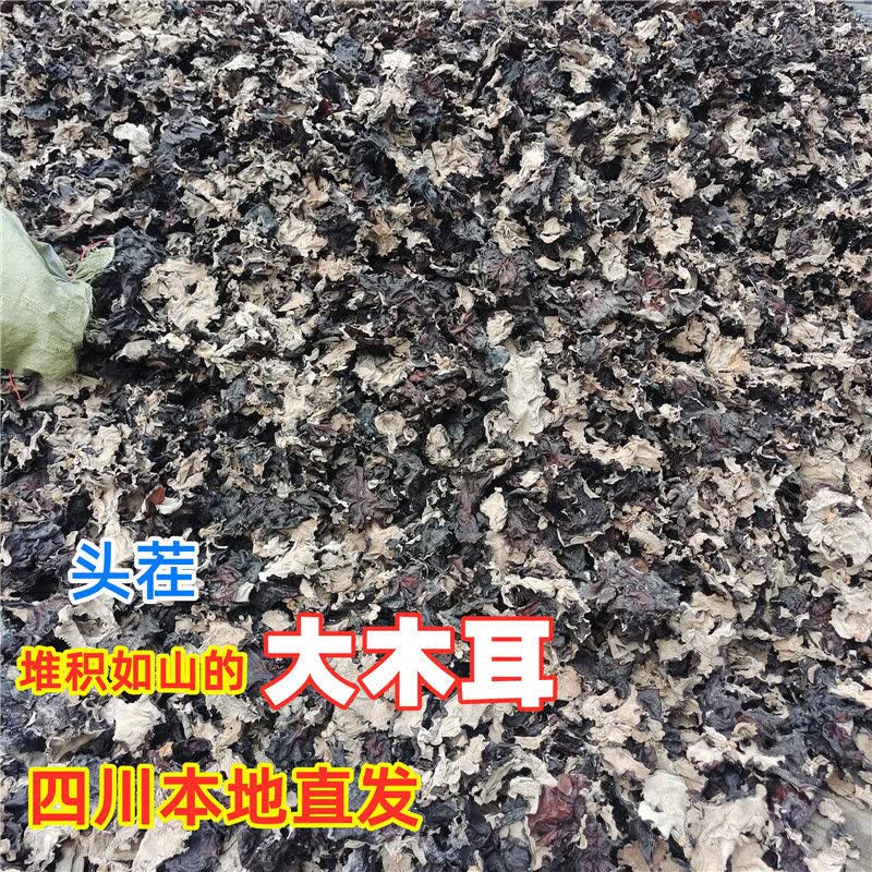 盘中玉四川脆木耳头茬大木耳毛木耳黑木耳青川木耳餐饮火锅冒菜木耳