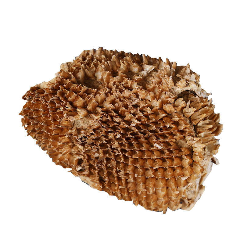 中药材店铺 实体中药向日葵花盘 干向日葵花盘 向日葵花盘 新货 500g