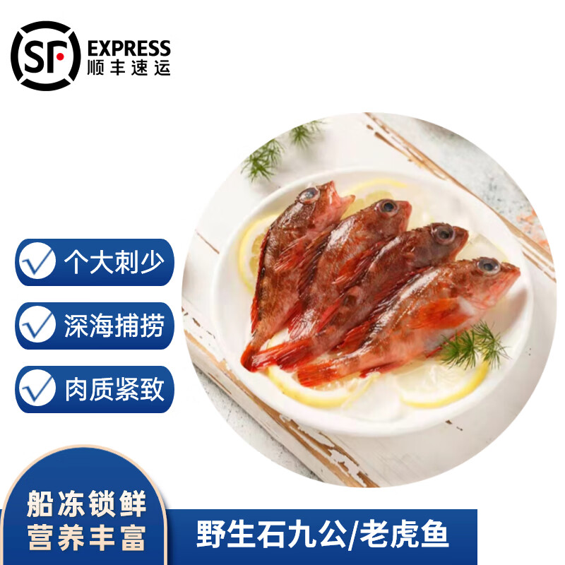 沢素湾 石九公 石翁鱼 石公狗老虎鱼 海鲜水产 5斤(3-5两/条)