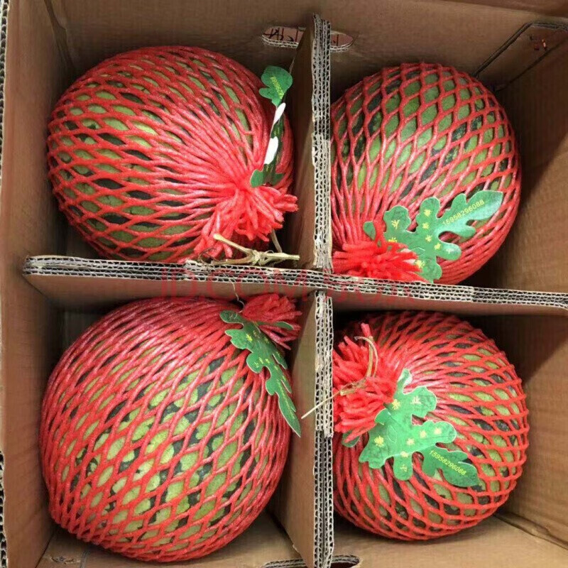 �����޾庣���������� ����8424����ͷ�������������Ƥ����֭�����ȿ ����װ��11-13�+��ˤ��װ ��ѡ�� 98.8Ԫ