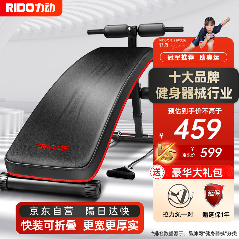 力动（RIDO）仰卧起坐辅助器 健身器材家用 可折叠仰卧板 腹肌器械收腹机TD20