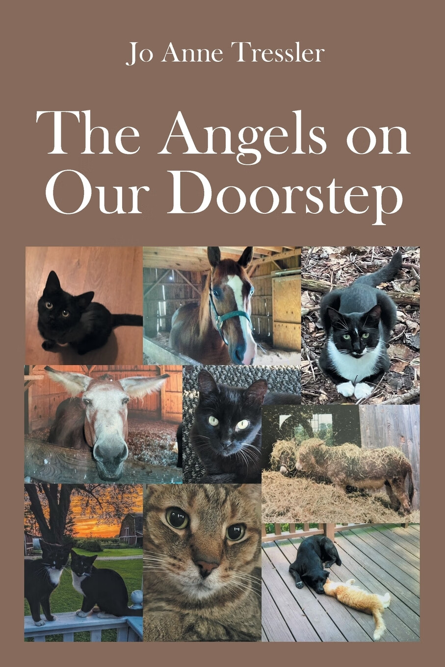 预售 按需印刷 the angels on our doorstep