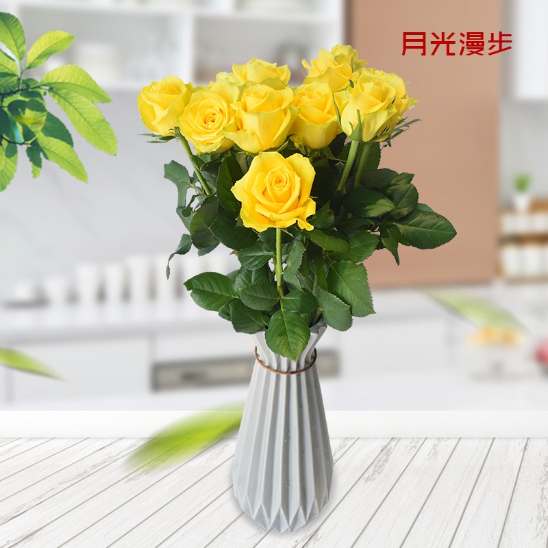 [悦多彩] 鲜花速递 多款多色玫瑰 斗南鲜花  情人节