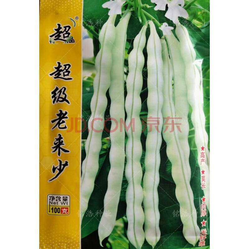 芸豆种老来少架豆角早熟高产春季四季蔬菜菜园大田 福润老来少种子