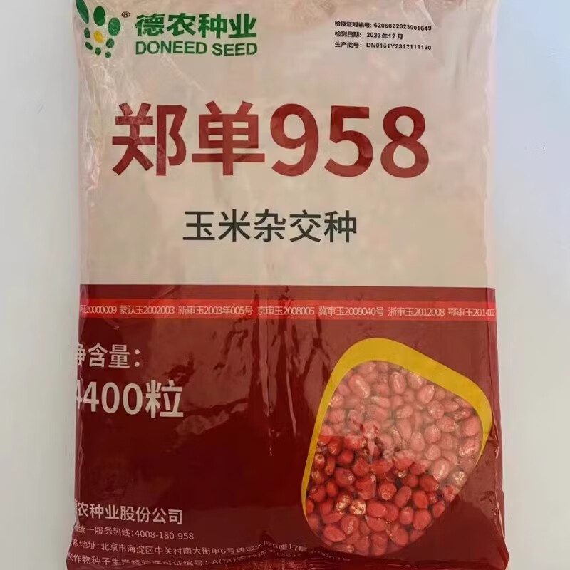 枫麦萱德农郑单958高产饲料玉米种籽春夏季大田基地播杂交大棒玉米