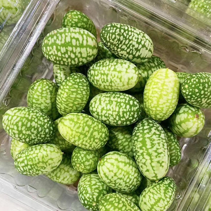 桃李村特色拇指西瓜迷你网红小西瓜佩普基诺当季新鲜孕妇水果 250g两