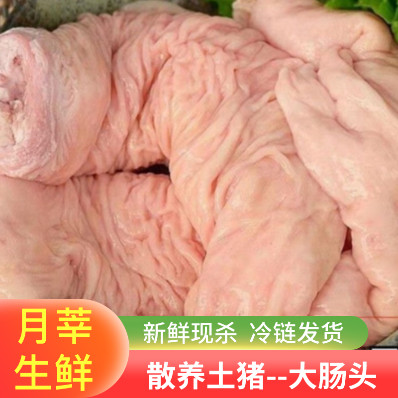 月莘(yuexin)生鲜新鲜冷冻大肠头 猪大肠火锅肥肠食材500g装 净大肠头