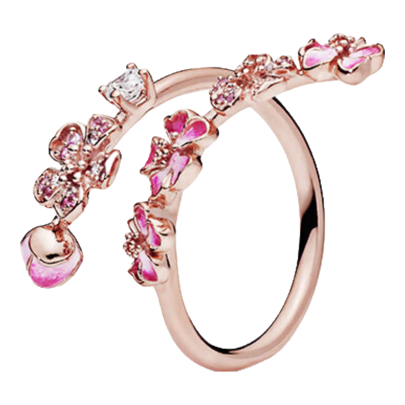 ˶PANDORAһϵRoseָõɫʽ