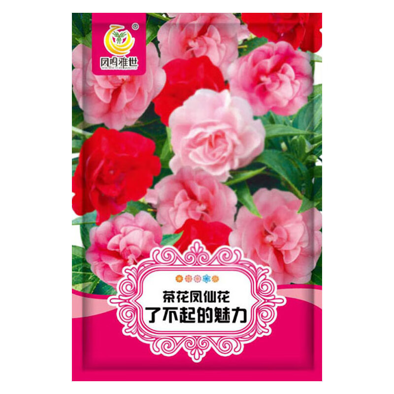 �����������ɻ�����ָ�׻����������Ի������Ӳ軨���ɻ�����10��