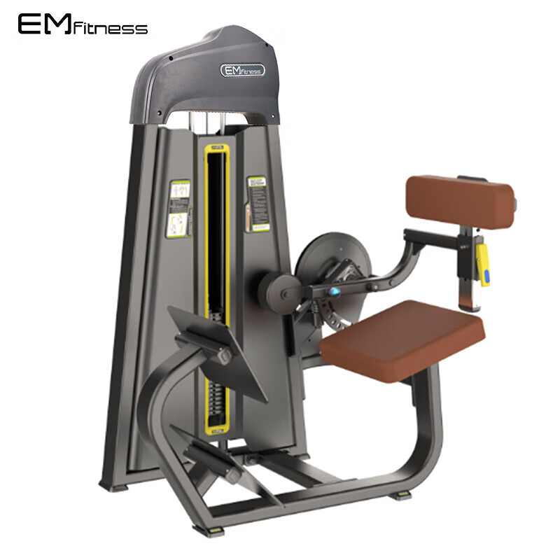 tezewa腰部后压训练器 腰部综合训练器械 商用健身房健身器械 em1015